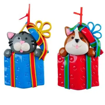 3.5 inch H Clay Dough Cat/ Dog In Gift Box Orna X 2. 5x5x10 cm kerstornament Kurt S. Adler